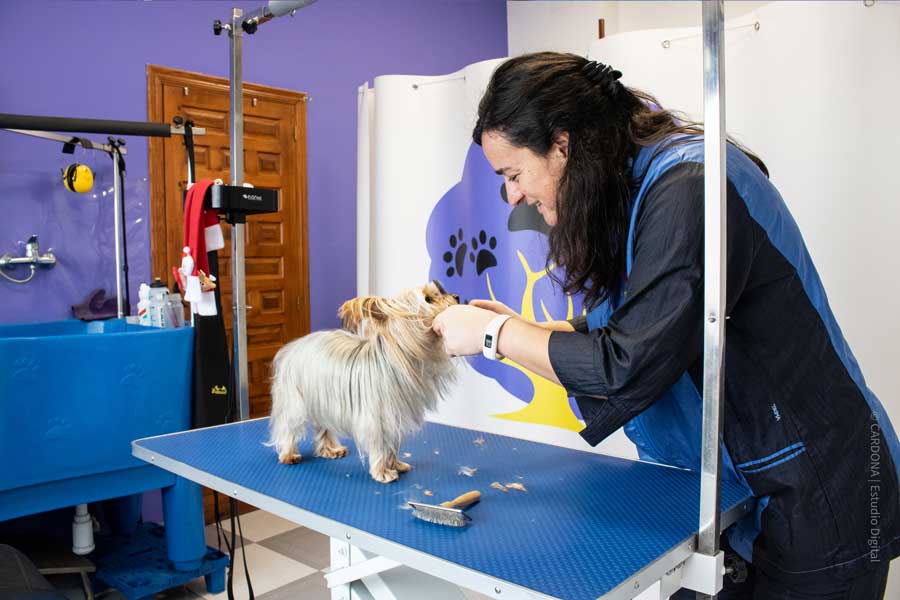 Peluquería canina la Macoteca en Aranda de Duero