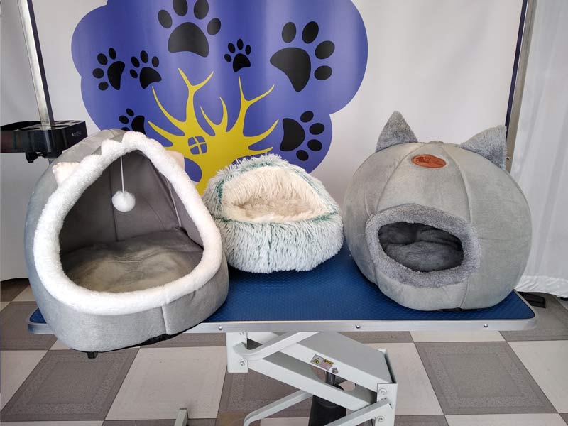 Camas para perros