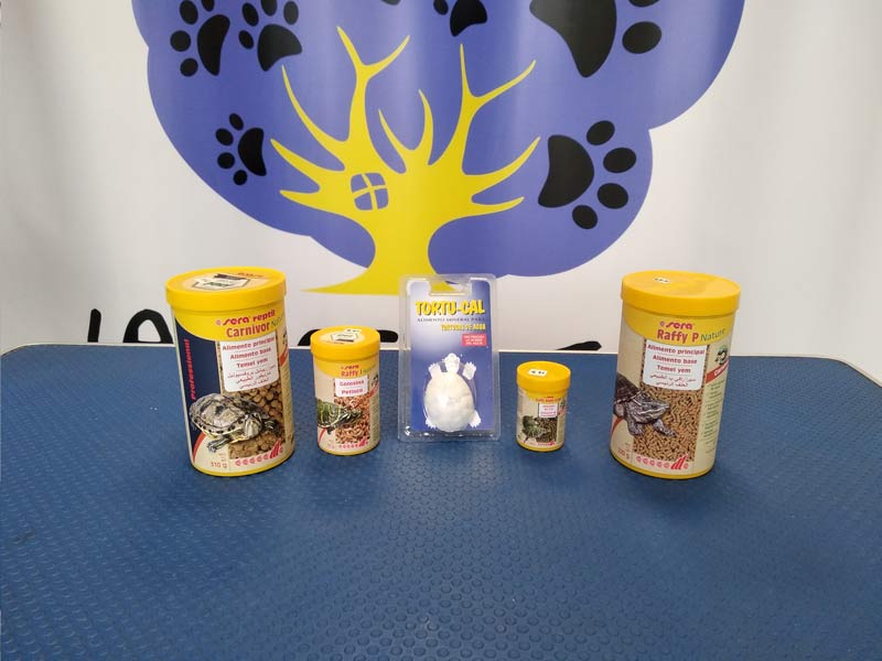 Camas para perros