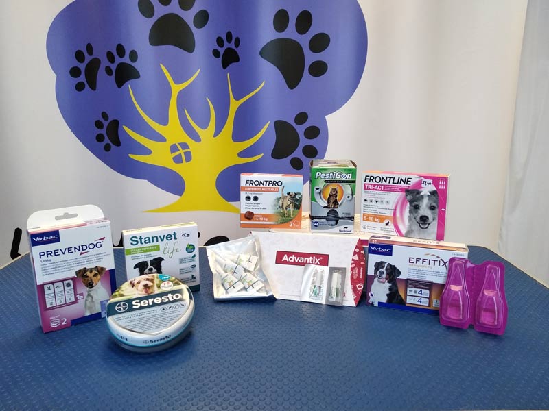 arneses para perros