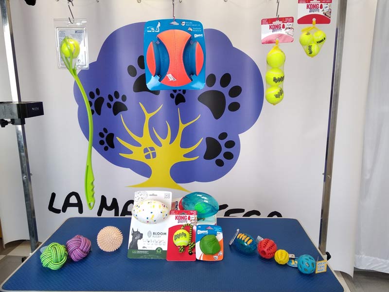 Pelotas para perros