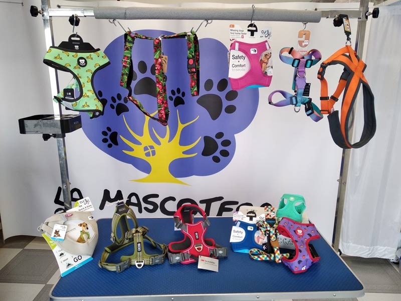 juguetes de inteligencia para perros