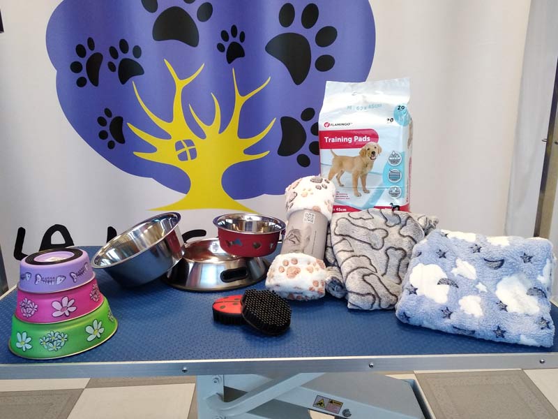 Ropa para perros