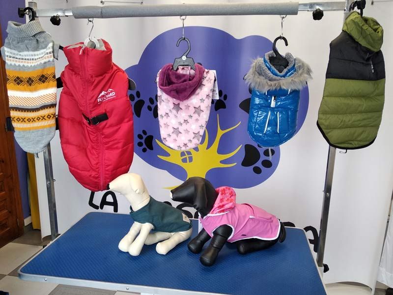 Ropa para perros
