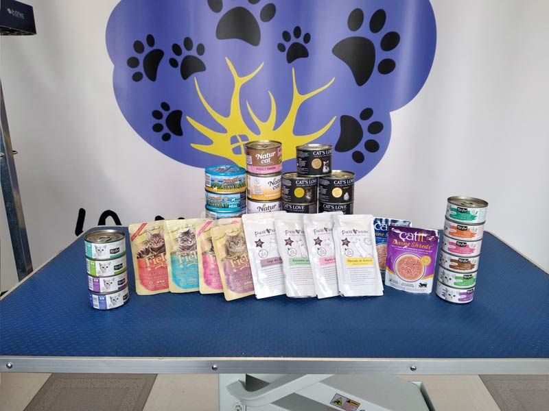 Camas para perros